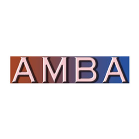 American Medical Billing Association (AMBA)