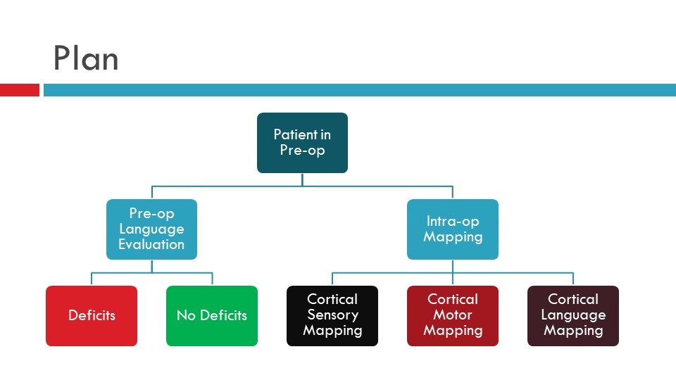 Fig 1. Plan for language mapping