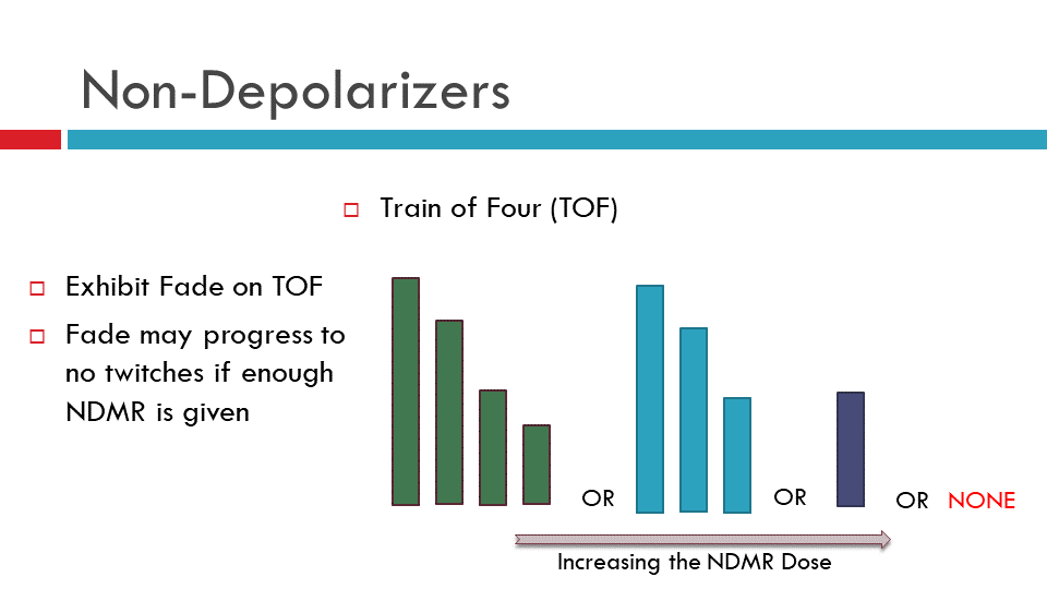 Peripheral Nerve Stimulator - Train of Four Monitoring: Overview,  Periprocedural Care, Technique