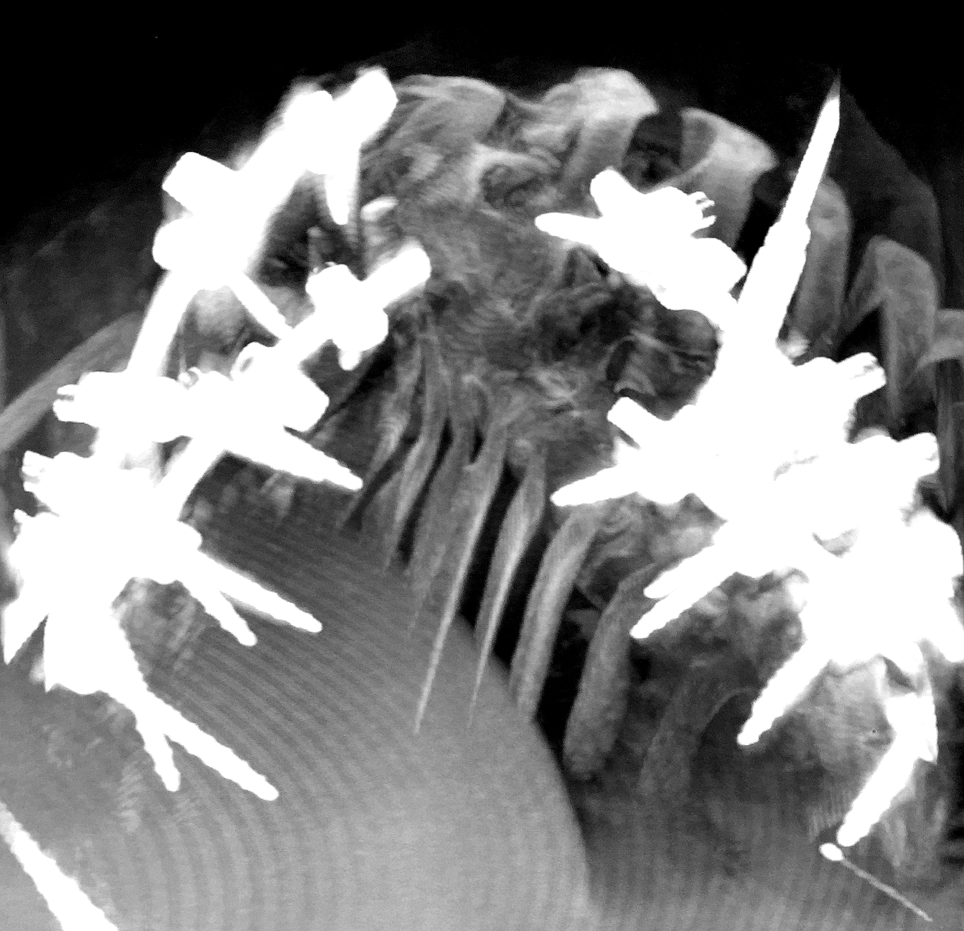 Fig 10. Stage 2 Instrumented fusion